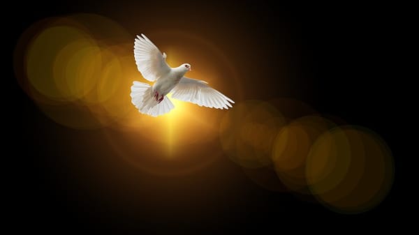 Doit-on prier et adorer le SAINT-ESPRIT ?