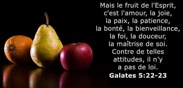 Le fruit de l'Esprit selon Galates 5:22